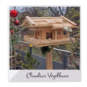 Vogelhaus Bausatz Erfahrung Foto von Claudia